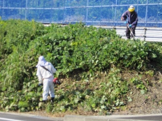 村松滝川農地保全会(静岡市)
