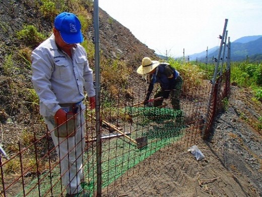 加瀬沢農地を守る会(静岡市)
