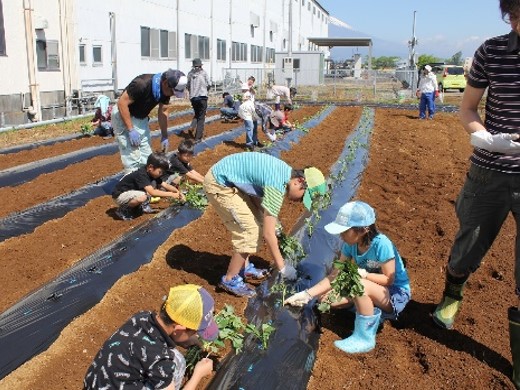 安久水と緑の会（三島市）