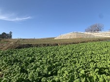 三ツ谷環境保全推進会（三島市）