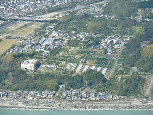 興津東町水土里の会（静岡市）