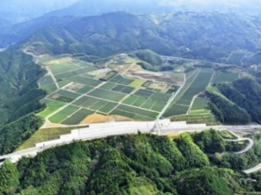 花の吉原緑の会（静岡市）