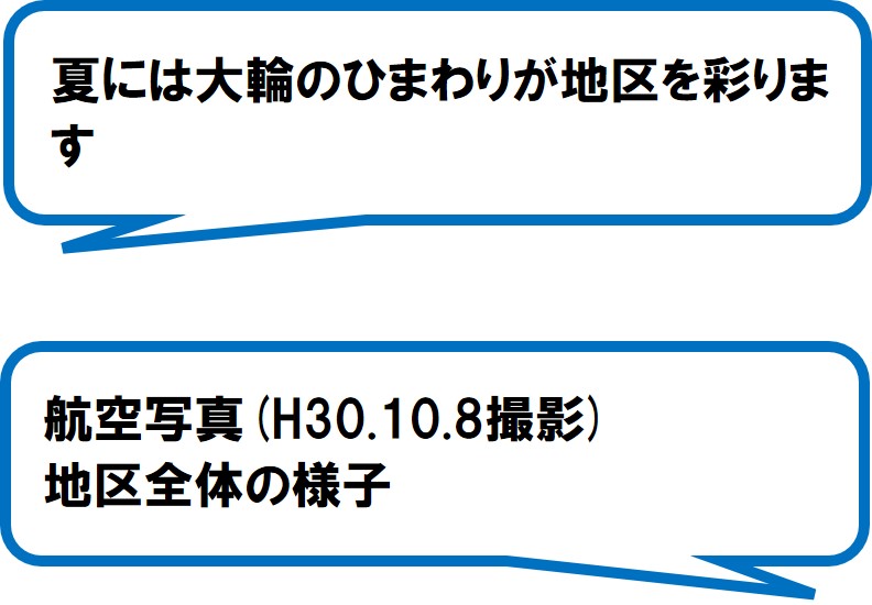 新丹谷地区環境保全隊（静岡市）