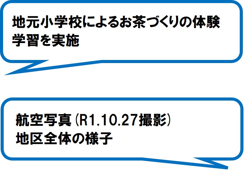 花の吉原緑の会（静岡市）