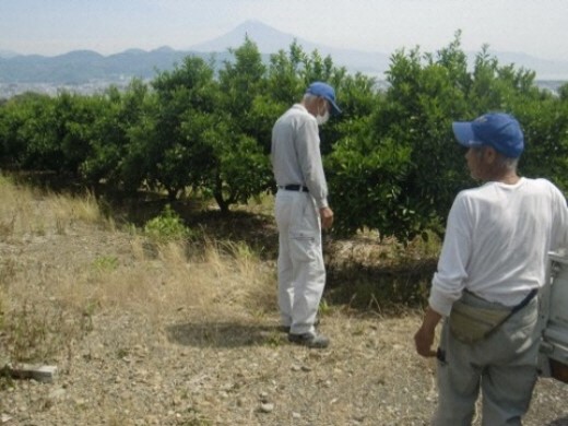 矢部農地保全会（静岡市）