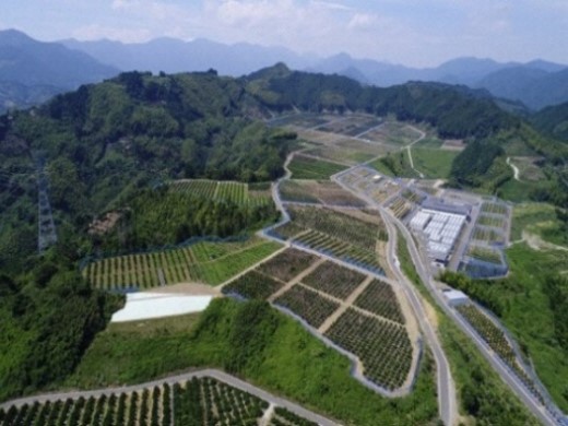 二本松農地保全会（静岡市）