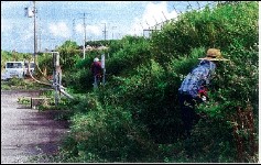 相良1工区のぞみ会(牧之原市)