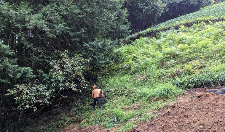 はじまり(静岡市)