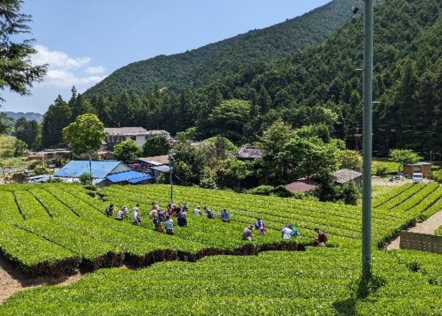 はじまり(静岡市)