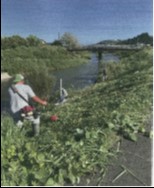 勝俣水利保全の会(牧之原市)