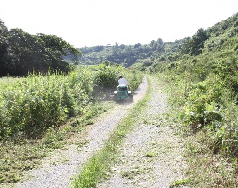 かきっこ(浜松市)
