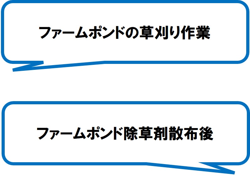 白井坂下14会(牧之原市)