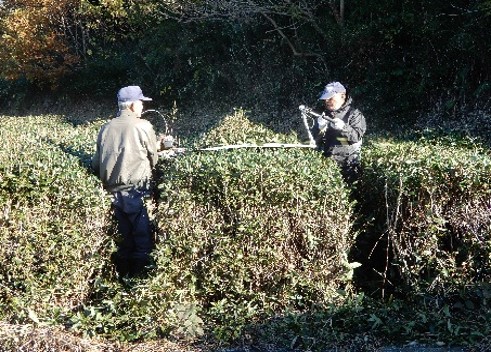 あらさわ地区農地保全の会(御前崎市)