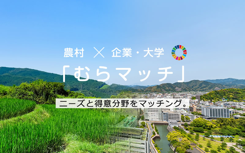 むらマッチ｜農村×企業・大学の協働をマッチング（静岡県）
