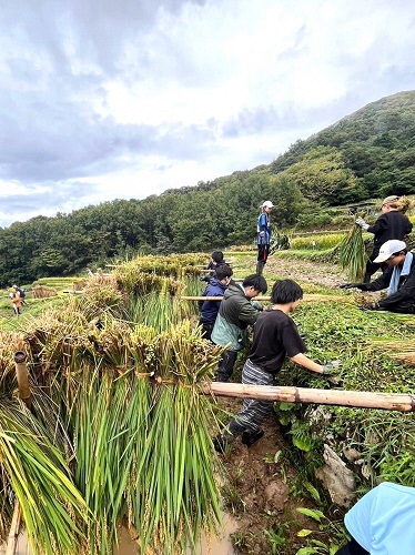常葉大学・常葉大学短期大学部