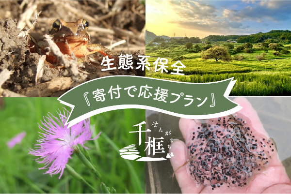 アクトインディ株式会社