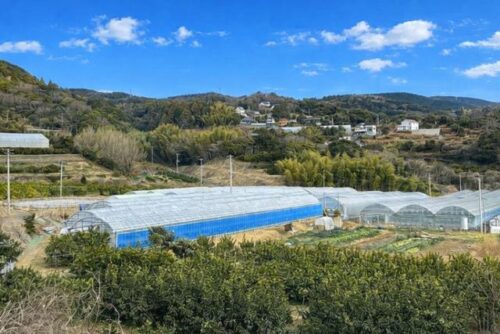 稲取入谷荒巻地区保全の会（東伊豆町）