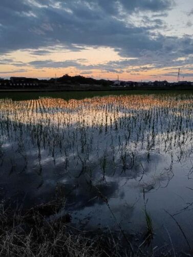 平川多面的機能向上活動組織（菊川市）