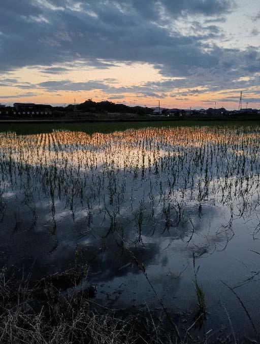 平川多面的機能向上活動組織(菊川市)