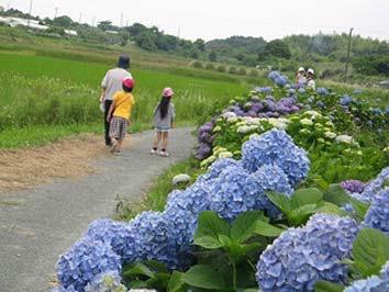ＫＡＲＣＯ（湖西市）