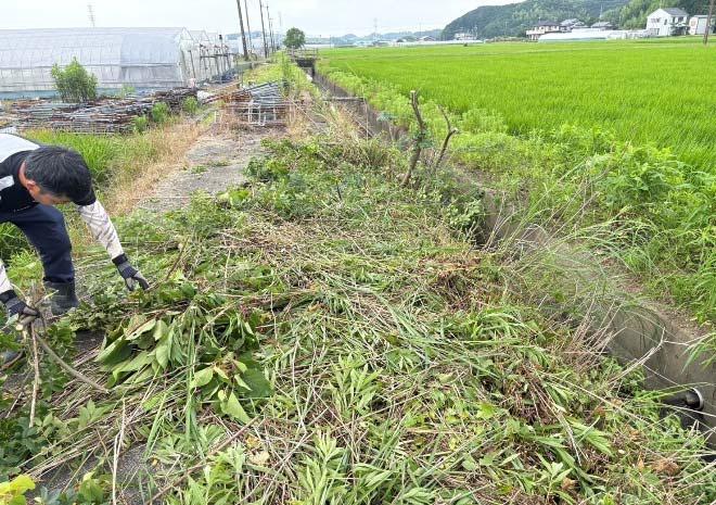浜水農地保全の会（御前崎市）
