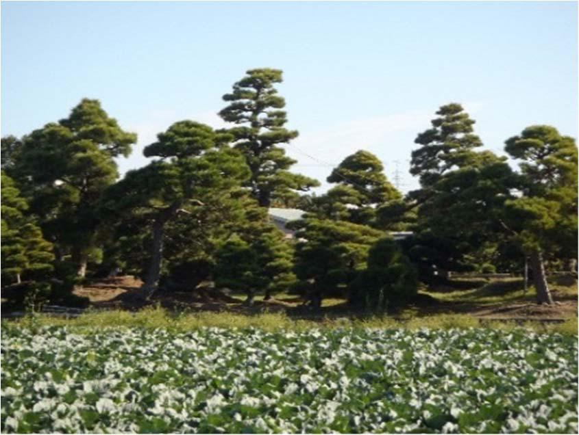 浜北環境保全(浜松市)