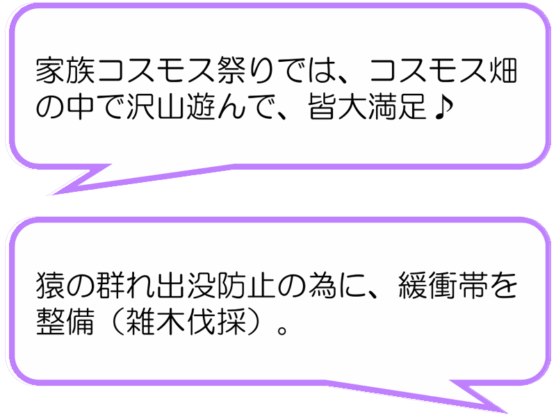 なかまっこ(浜松市)