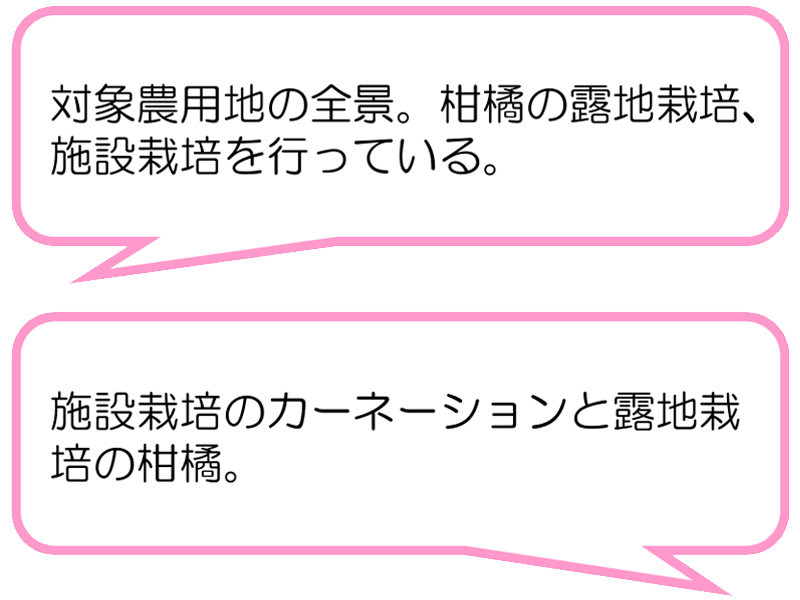 稲取入谷荒巻地区保全の会（東伊豆町）