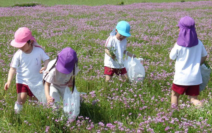 富士山のふもとの郷を守る会(富士市)