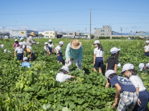 70恩地町4620