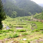 kiyosawa_01
