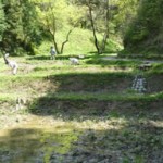 nagisawa-picture1