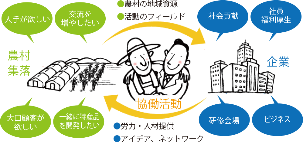 network
