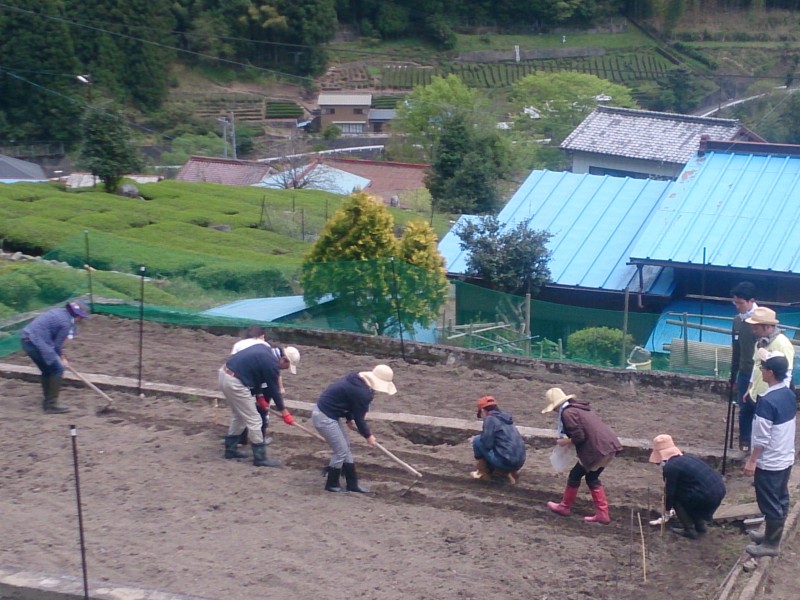 作業中