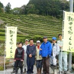 4/24（日）静岡茶発祥地！！奥長島だんだん茶畑で管理体験が行われました！