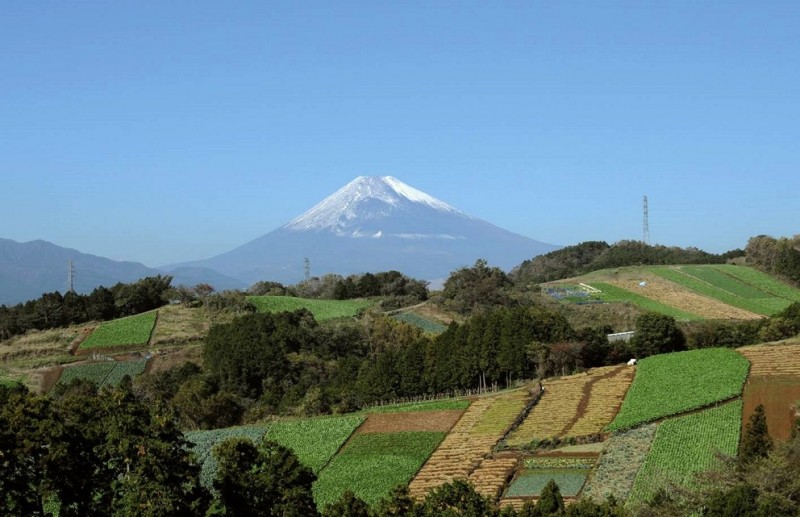 ●41箱根西麓 メイン写真「箱根西麓に広がる色とりどりの畑のパッチワーク」