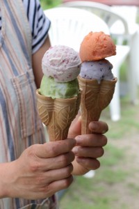 【邑食（むらグルメ）】ふじのくに美しく品格のある邑「清水区西里」の温泉とお蕎麦＆手作りジェラード