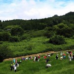 【菊川市】倉沢の棚田「千框の棚田」の草刈りに参加してきました！