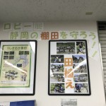 【しずおか棚田・里地くらぶ】三井住友信託銀行静岡支店のロビー展に協力しました！