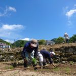 【松崎町】石部の棚田で田植え祭が開催されました！（美しく品格のある邑）