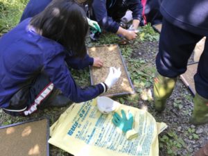 【静岡市】静岡学園中学校・高等学校が清沢の棚田で農業体験！（美しく品格のある邑）