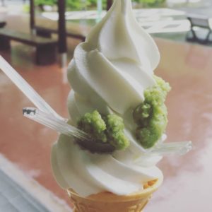 邑のグルメ！す・・すごい！わさびソフトクリーム＆ほくほく椎茸コロッケ（美しく品格のある邑）