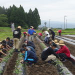 【富士宮市】日本大学生物資源学部生が農の現場を学ぶ！天子ヶ岳の郷保存会と協働でサツマイモの定植をしました