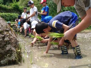 【静岡市】清沢の棚田で田植えをしませんか？（美しく品格のある邑）