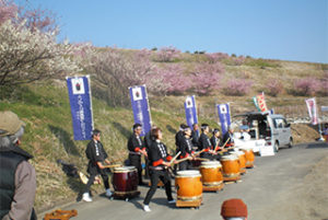 【静岡市清水区】第4回由比八千代桜まつり  見頃／2月中旬ごろ