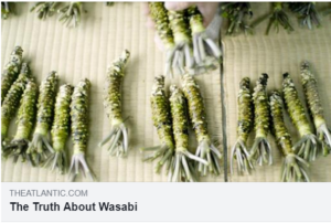 【伊豆市】「The Truth about WASABI」ドキュメンタリー公開開始!!  ＜ふじのくに美しく品格のある邑「日本一の水わさびの邑（伊豆市）」＞