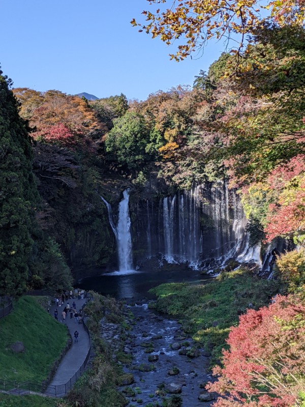富士宮市 白糸の滝 紅葉見頃 終了 しずおか農山村サポーター むらサポ