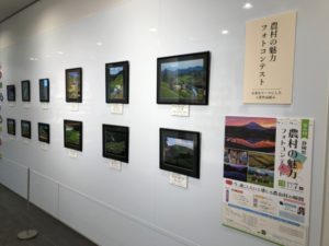 静岡県農村の魅力フォトコンテスト入賞作品展示中！