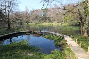 【清水町】春の柿田川を一緒に散策しませんか？