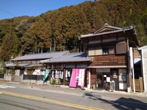 【静岡市】茶の芽